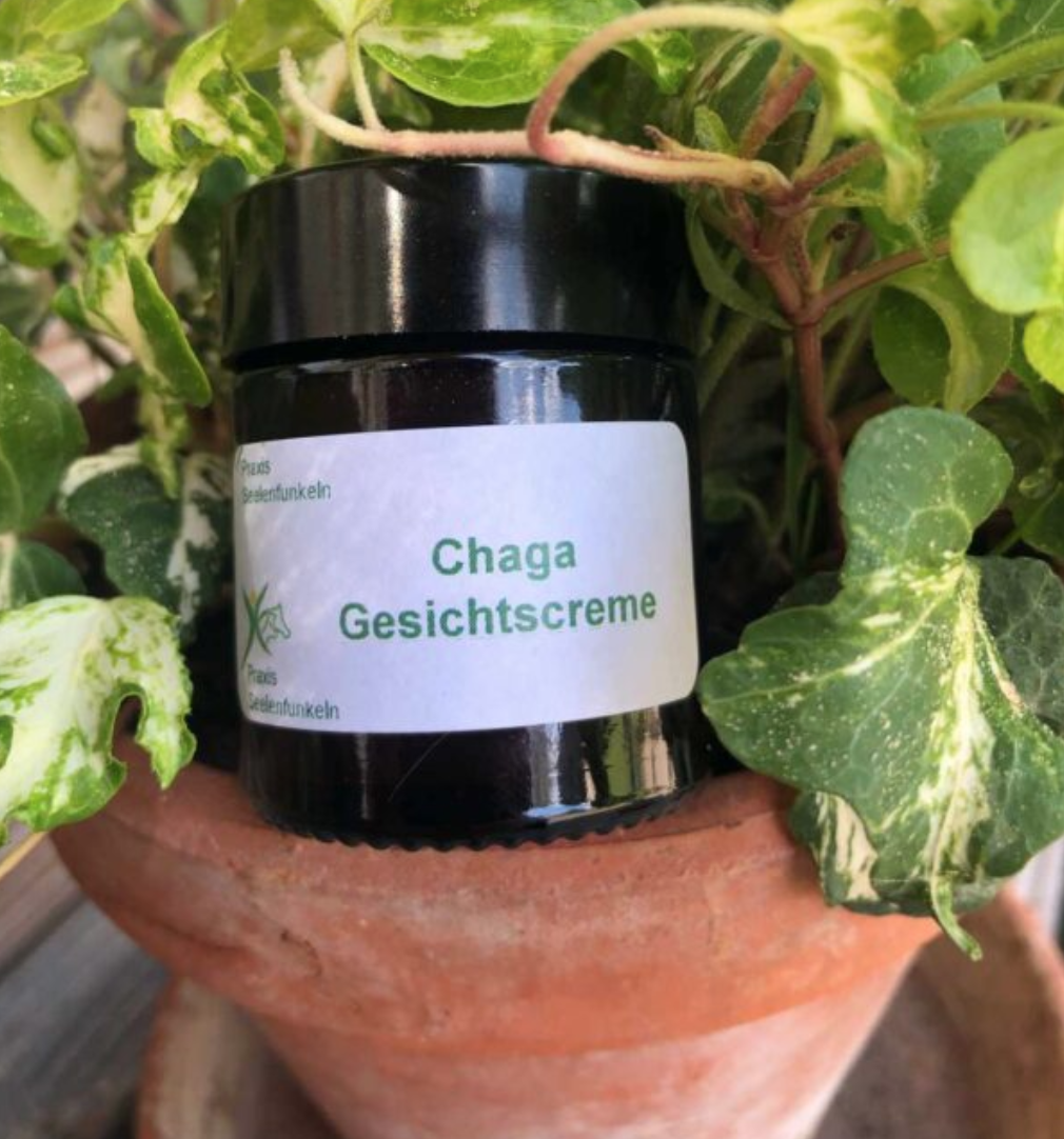 Gesichtscreme Chaga