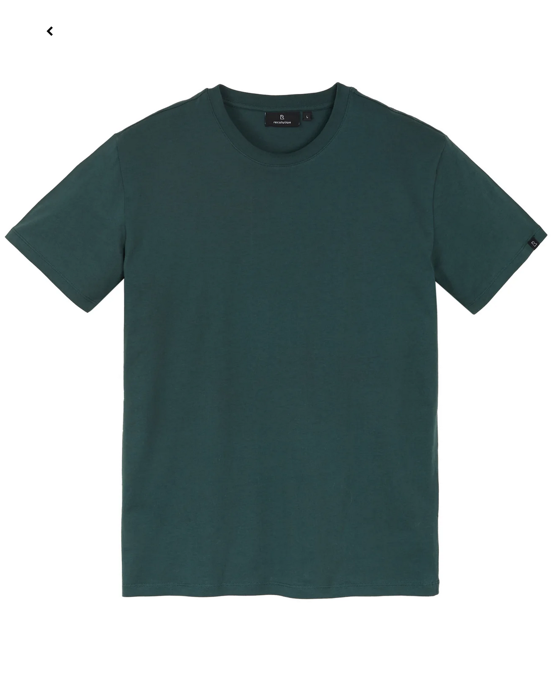 AGAVE T-Shirt aus Bio-Baumwolle green S - XL 